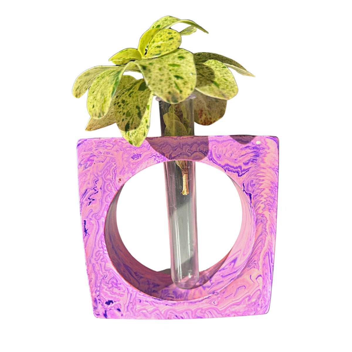 A sustainable handmade resin planters propagation station, a stylish addition to eco-friendly homeware