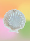 glitter shell, white shell, elegant tray, gifts for beach lovers, shell trinket tray, decorative tray, seashell jewelry tray, shell shaped tray, mother of pearl tray, trinket tray, trinket dish, seashell lovers, beach lovers, seashell jewelry tray