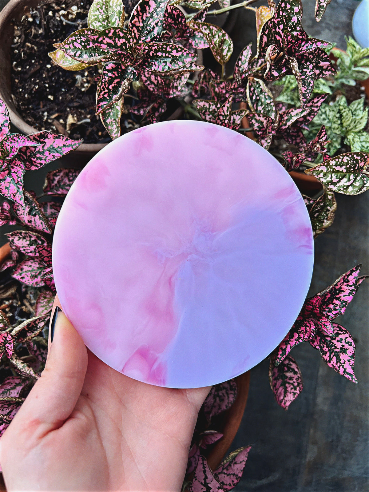 Decorating Turntable - Jellyfish – Oddflower Creations
